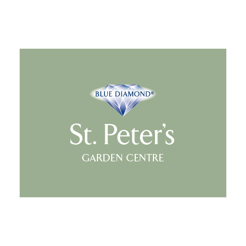 Blue diamond site clearance